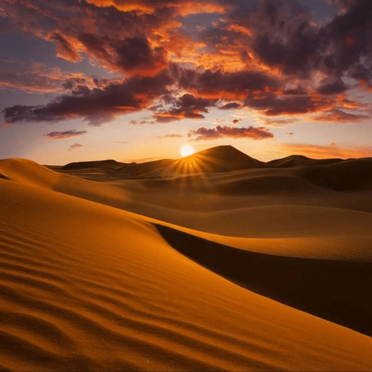 Ultimate Sahara Desert Guide: What Every First-Time Visitor Should Know